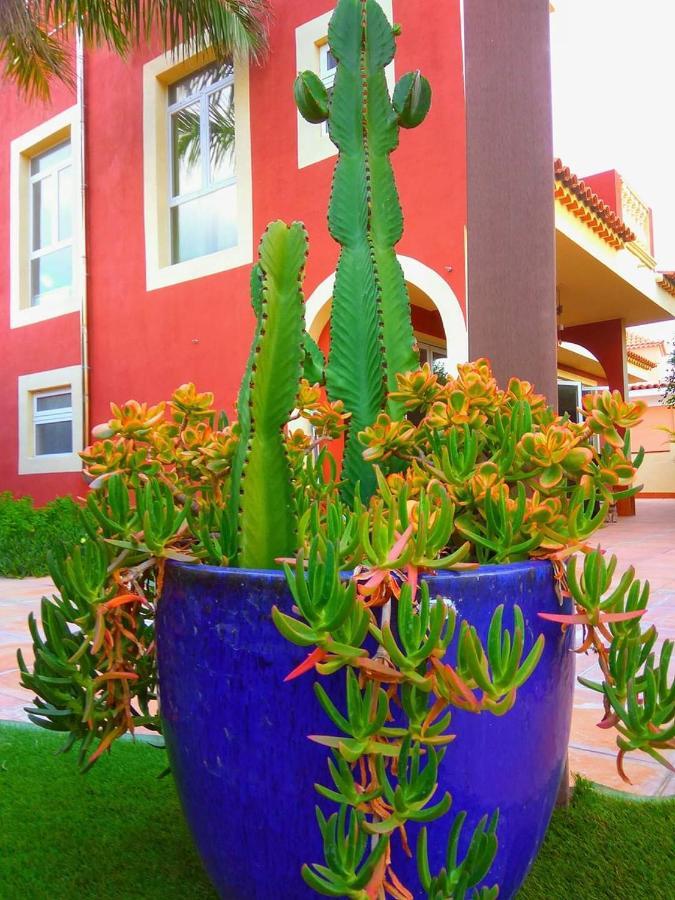 Villa Casa Viera Buzanada Esterno foto